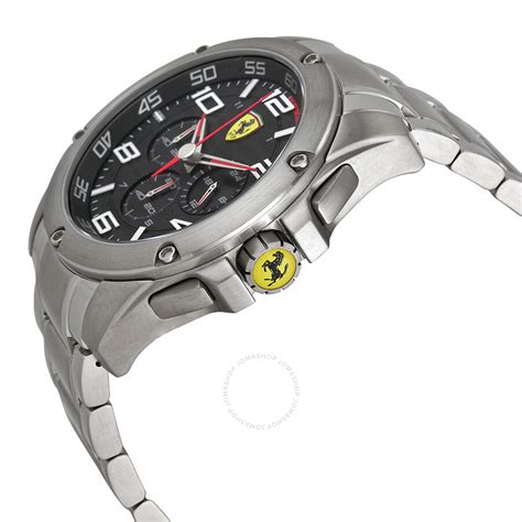 paddock watches